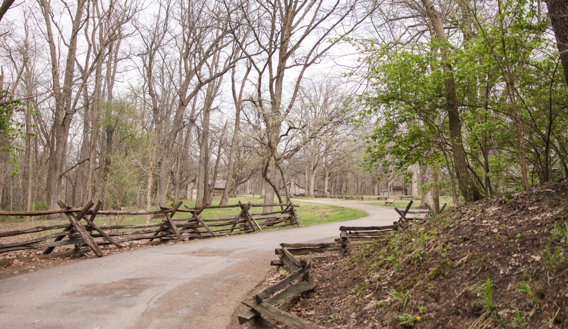 Outdoors preview image